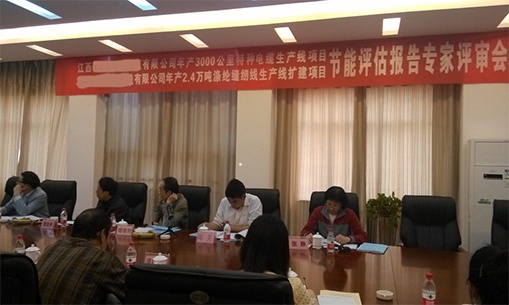 开云官方app下载站报告完成专家评审